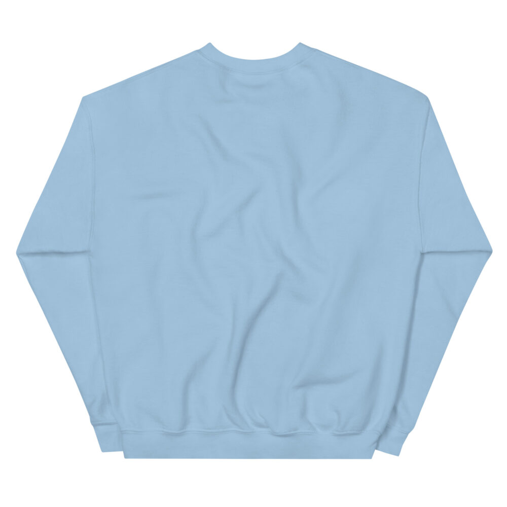 unisex-crew-neck-sweatshirt-light-blue-back-6495d6494e618.jpg