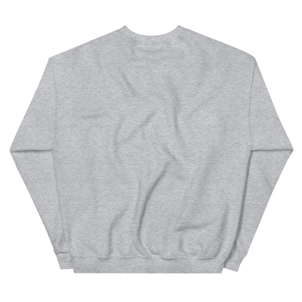 unisex-crew-neck-sweatshirt-sport-grey-back-6493b07f5ad55.jpg