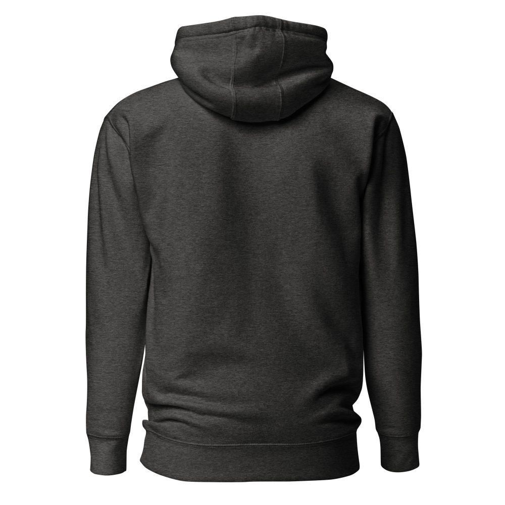 unisex-premium-hoodie-charcoal-heather-back-6483d9b696ce4.jpg