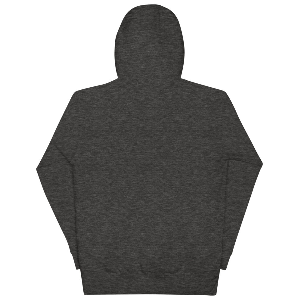 unisex-premium-hoodie-charcoal-heather-back-649645096df82.jpg