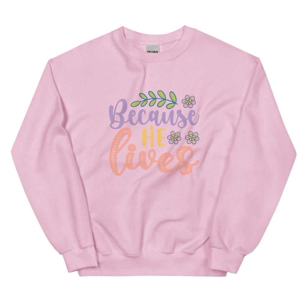 unisex-crew-neck-sweatshirt-light-pink-front-64b3175d95168.jpg