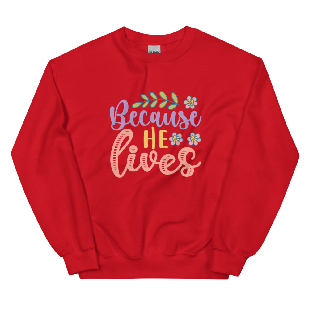 unisex-crew-neck-sweatshirt-red-front-64b3175d9244b.jpg