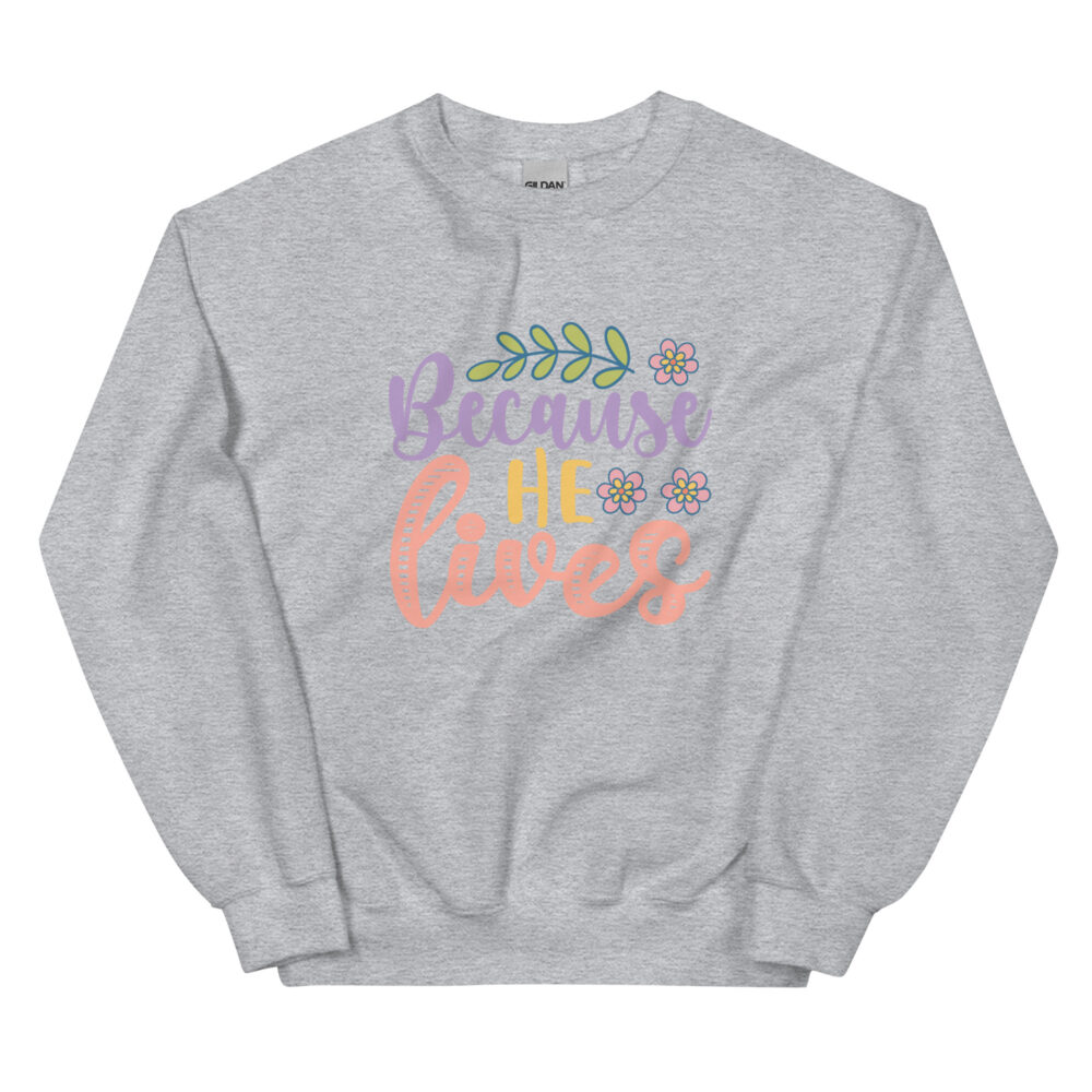 unisex-crew-neck-sweatshirt-sport-grey-front-64b3175d93f39.jpg