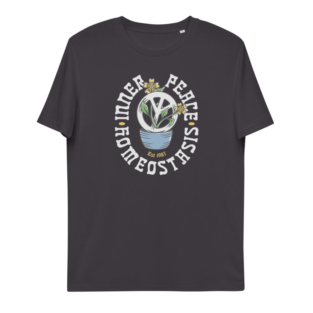unisex-organic-cotton-t-shirt-anthracite-front-64a1f3594b728.jpg