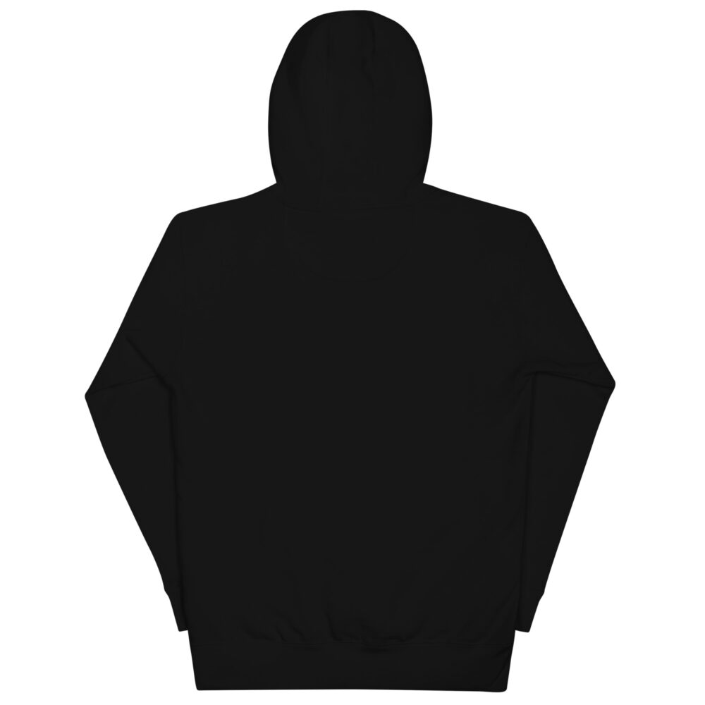 unisex-premium-hoodie-black-back-64a1f697d1a29.jpg