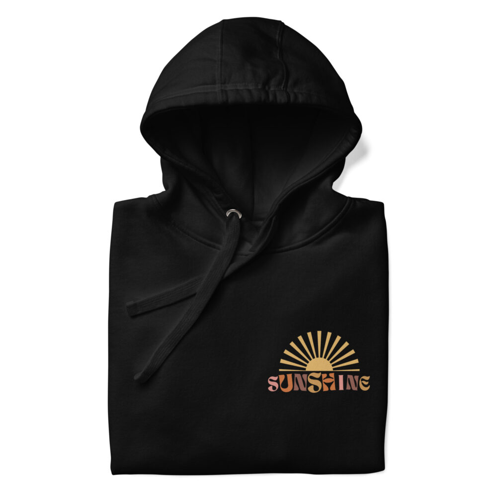unisex-premium-hoodie-black-front-64a0705187811.jpg