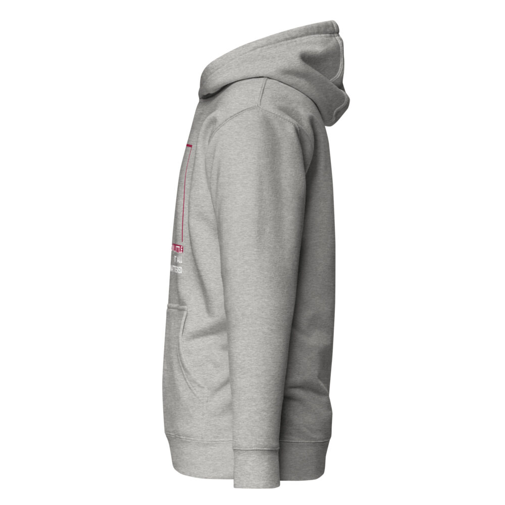 unisex-premium-hoodie-carbon-grey-left-64bd50bf5291f.jpg