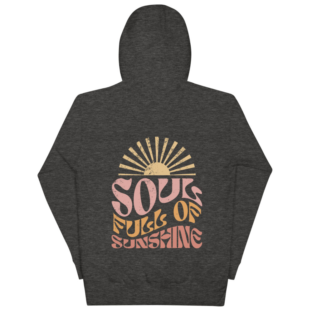 unisex-premium-hoodie-charcoal-heather-back-64a07051899e9.jpg