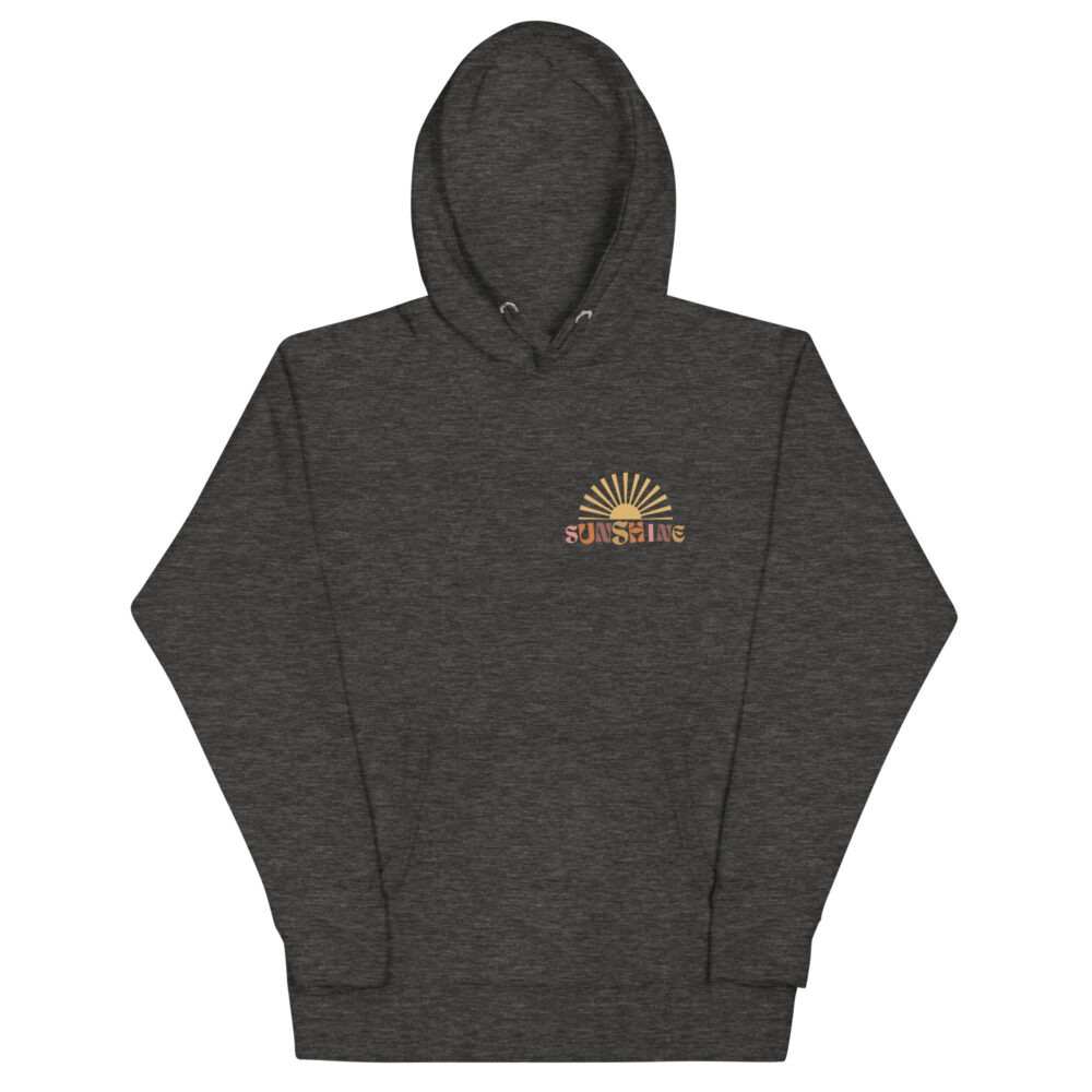 unisex-premium-hoodie-charcoal-heather-front-64a0705189064.jpg