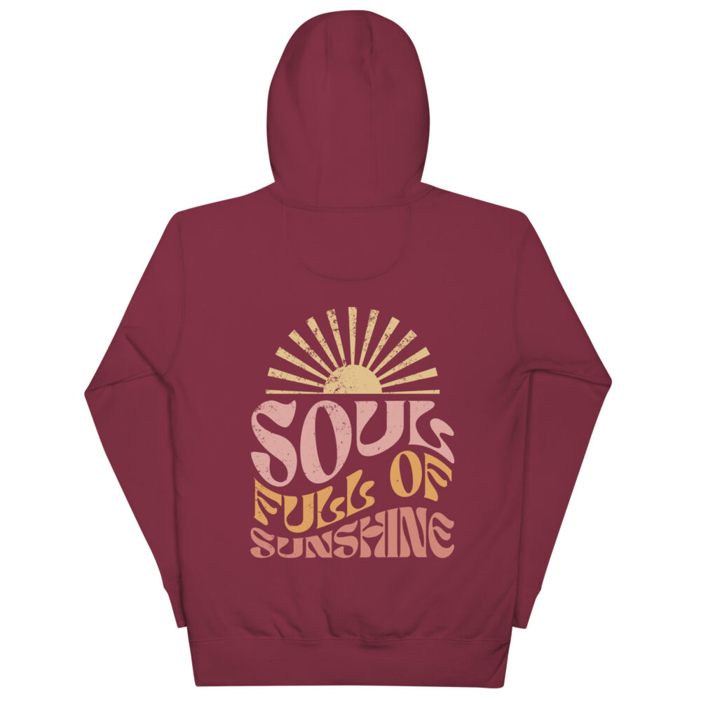 unisex-premium-hoodie-maroon-back-64a07051888ba.jpg