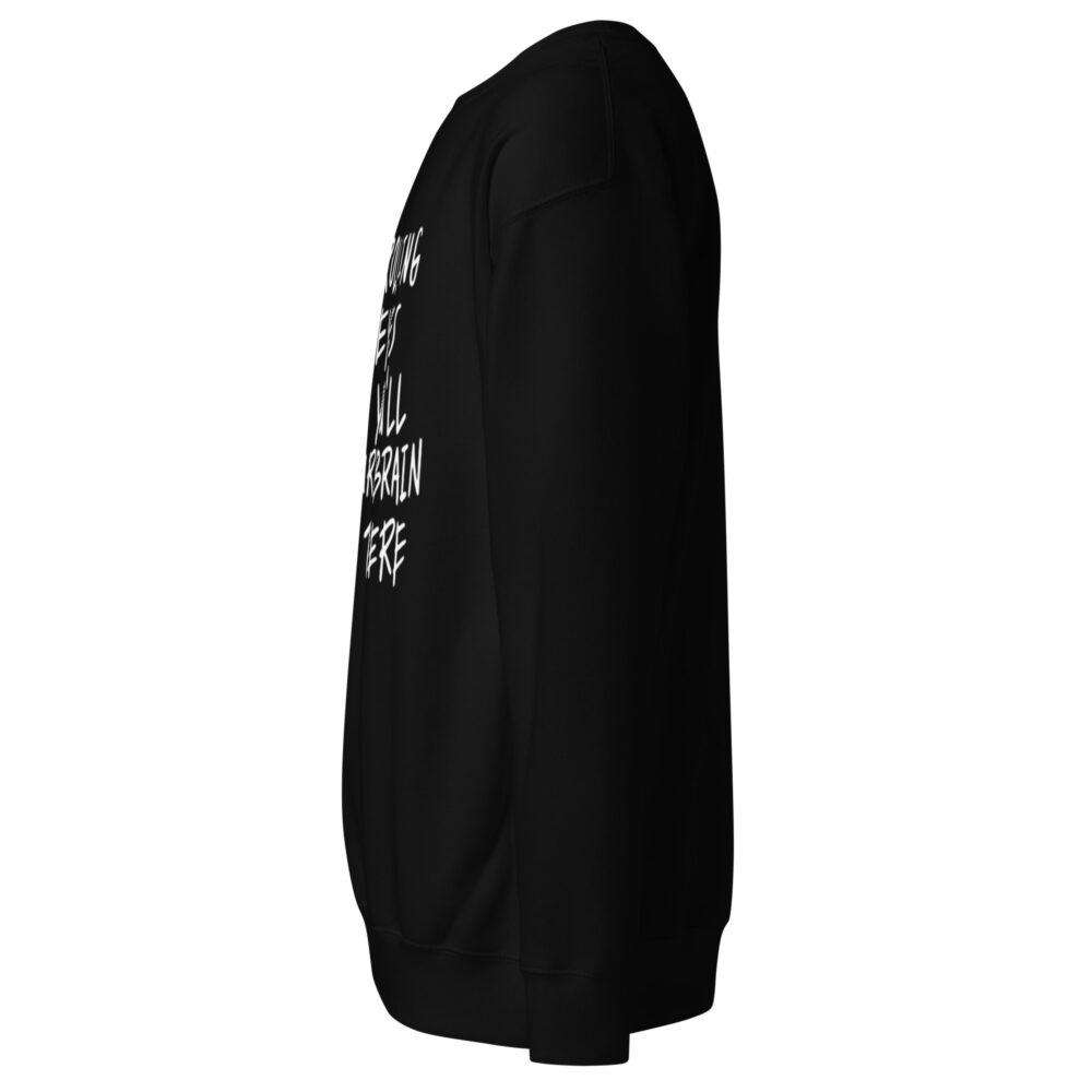 unisex-premium-sweatshirt-black-left-64b9033b9874d.jpg
