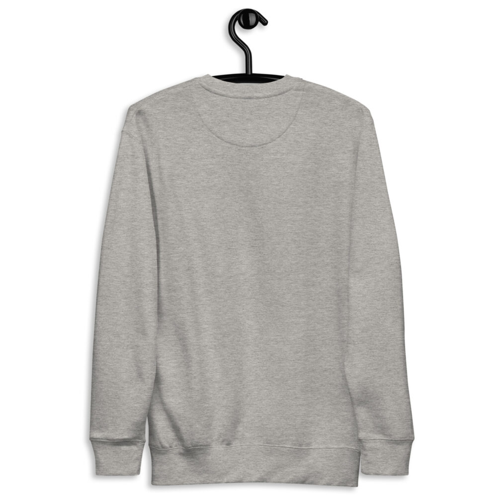 unisex-premium-sweatshirt-carbon-grey-back-64a4c06dccc73.jpg