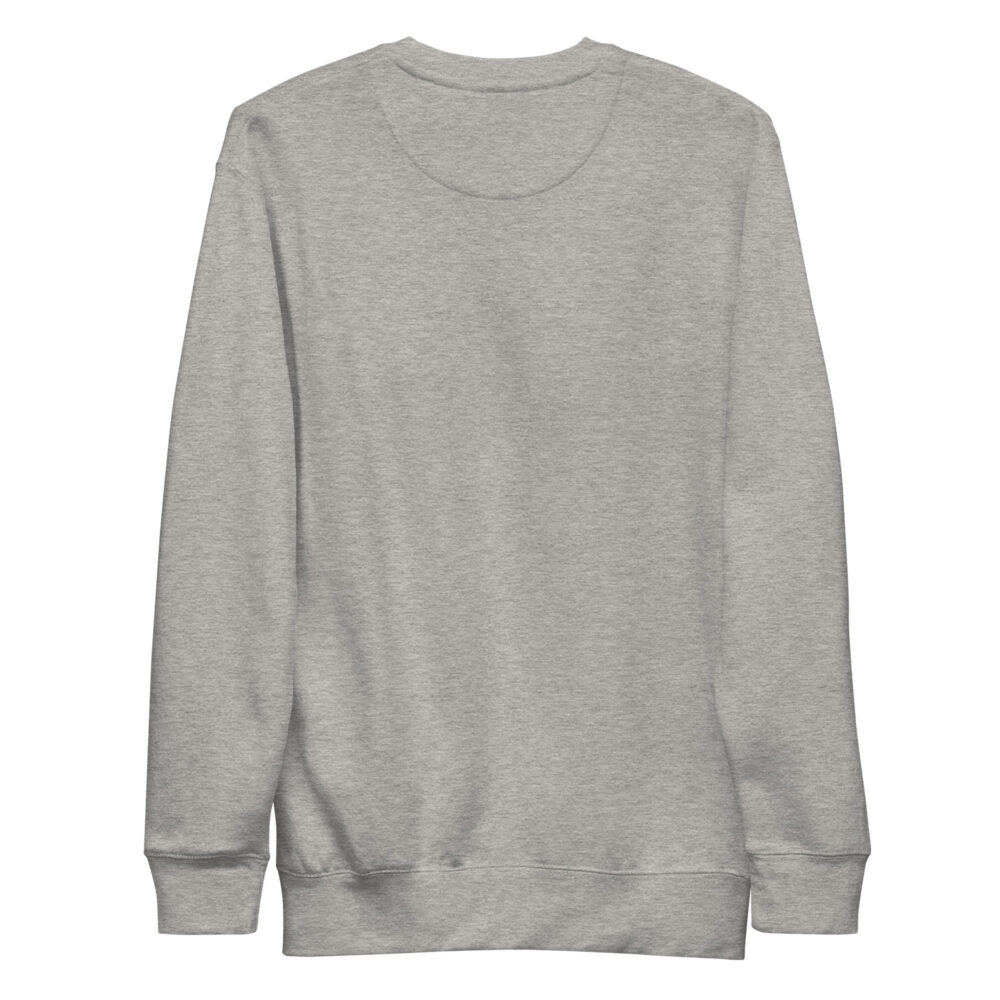 unisex-premium-sweatshirt-carbon-grey-back-64c1526d16af9.jpg