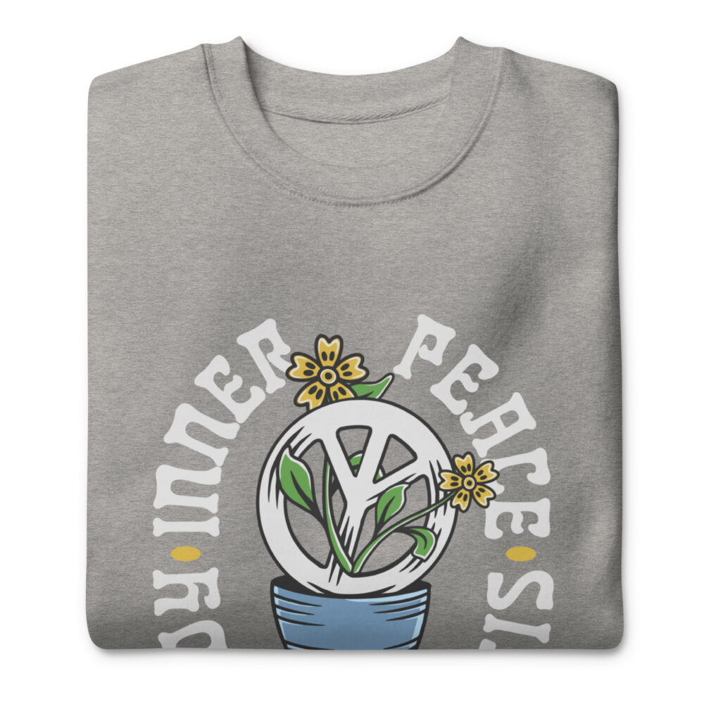 unisex-premium-sweatshirt-carbon-grey-front-64a1f48af38f2.jpg