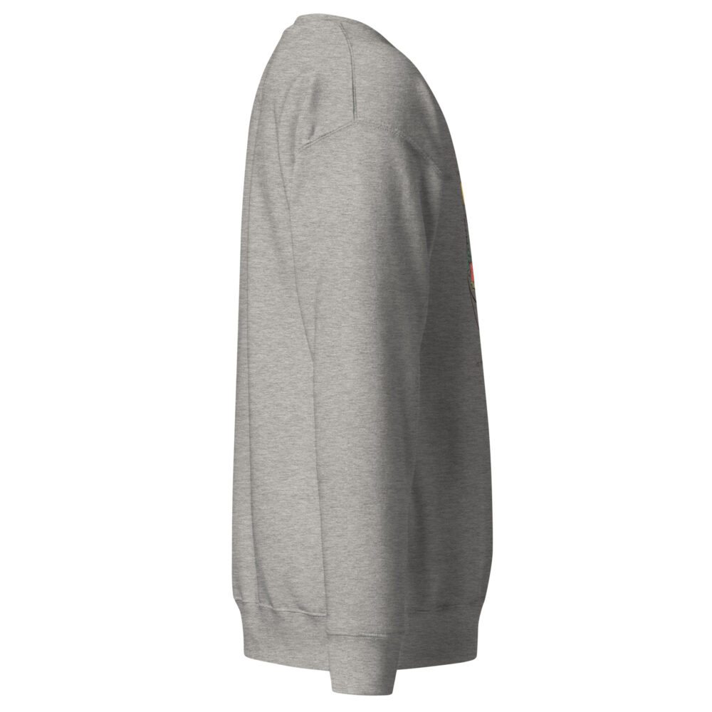 unisex-premium-sweatshirt-carbon-grey-right-64a41eb827dd0.jpg