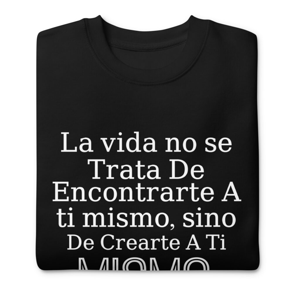 unisex-premium-sweatshirt-black-front-64d85312ca22a.jpg