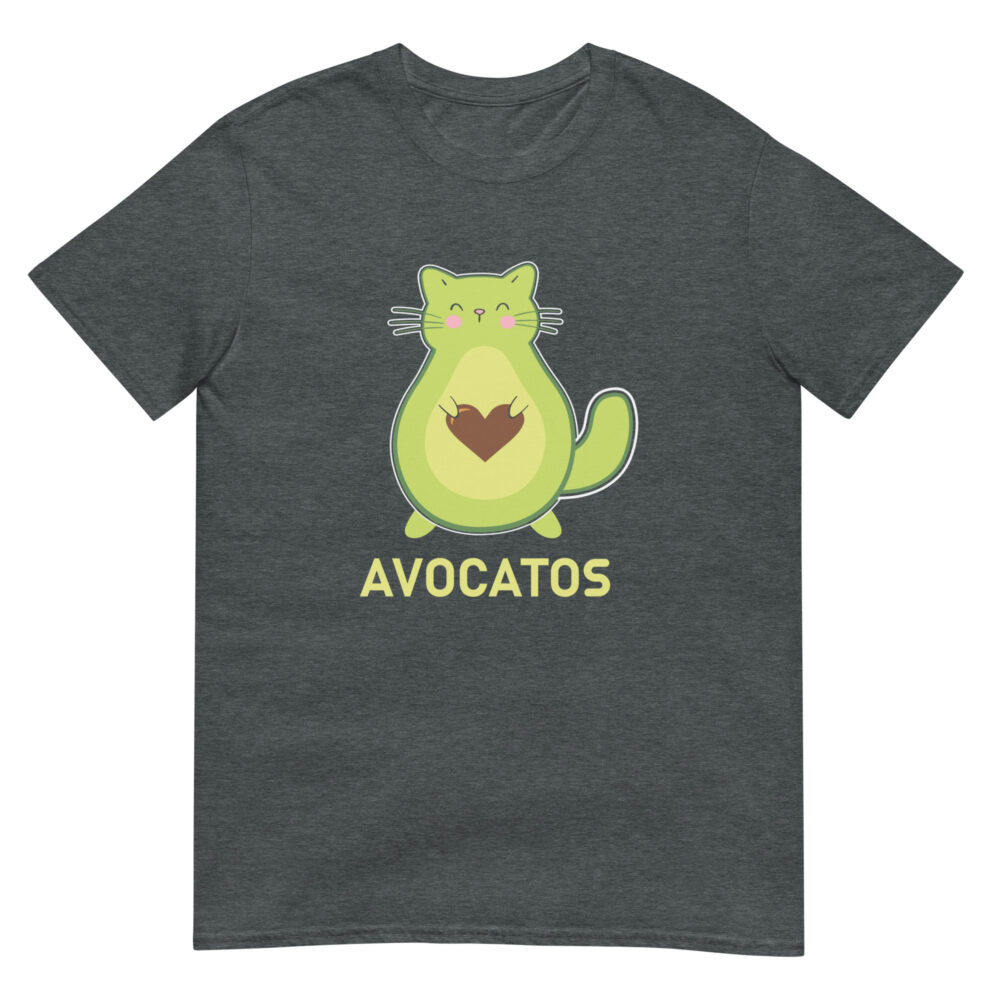 unisex-basic-softstyle-t-shirt-dark-heather-front-65709827f3b06.jpg