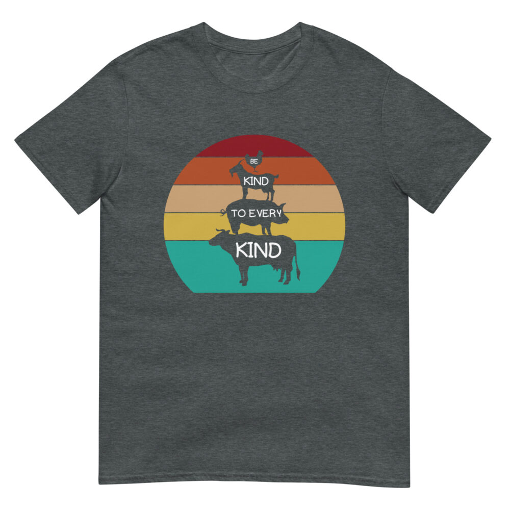 unisex-basic-softstyle-t-shirt-dark-heather-front-6570997e653d0.jpg
