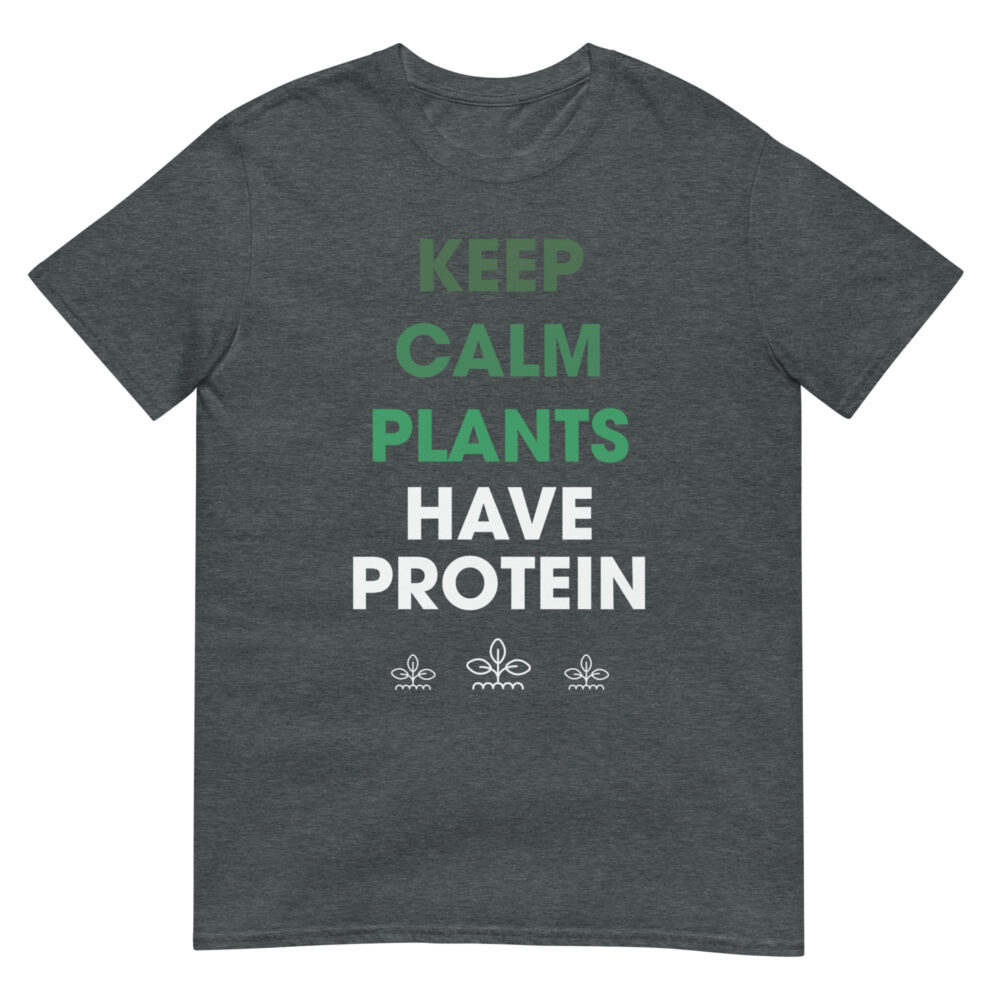 unisex-basic-softstyle-t-shirt-dark-heather-front-6570a508a8dbf.jpg
