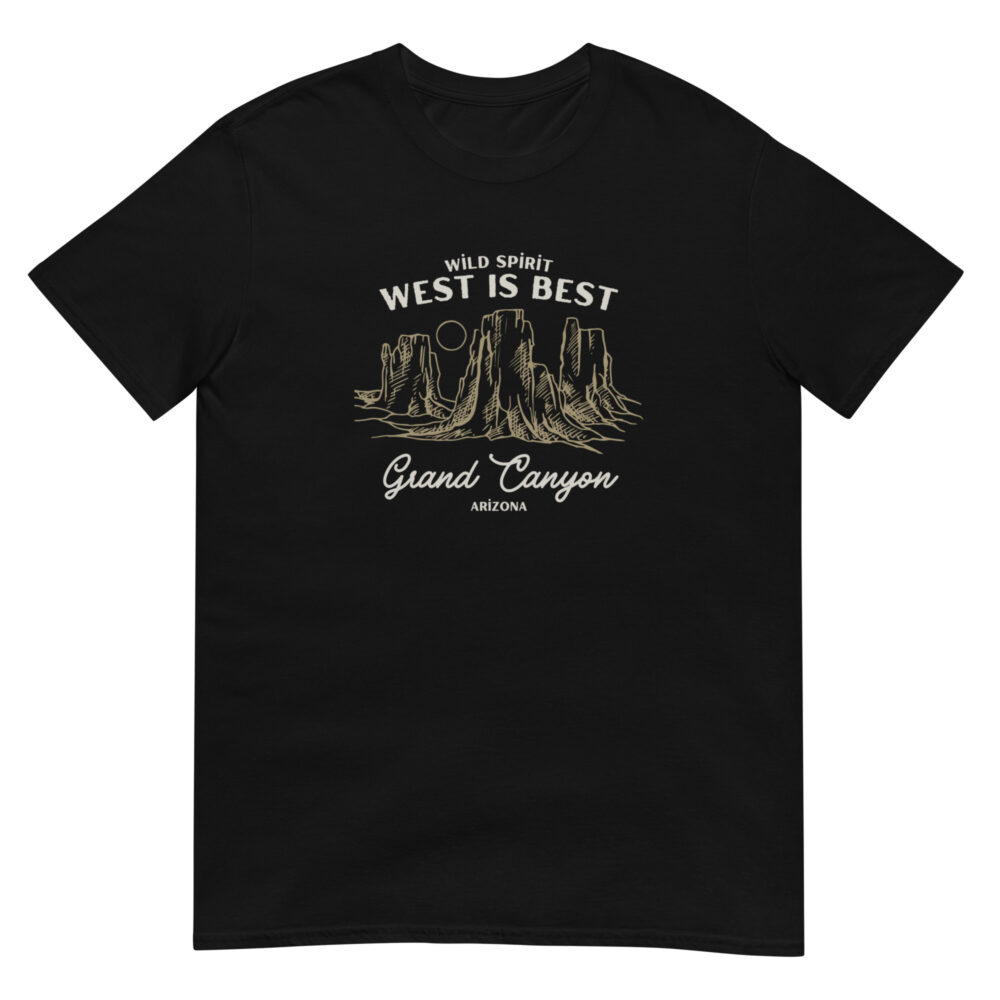 unisex-basic-softstyle-t-shirt-black-front-65a54f88c2046.jpg