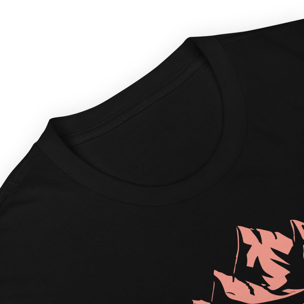 unisex-basic-softstyle-t-shirt-black-product-details-65a8071d38aef.jpg