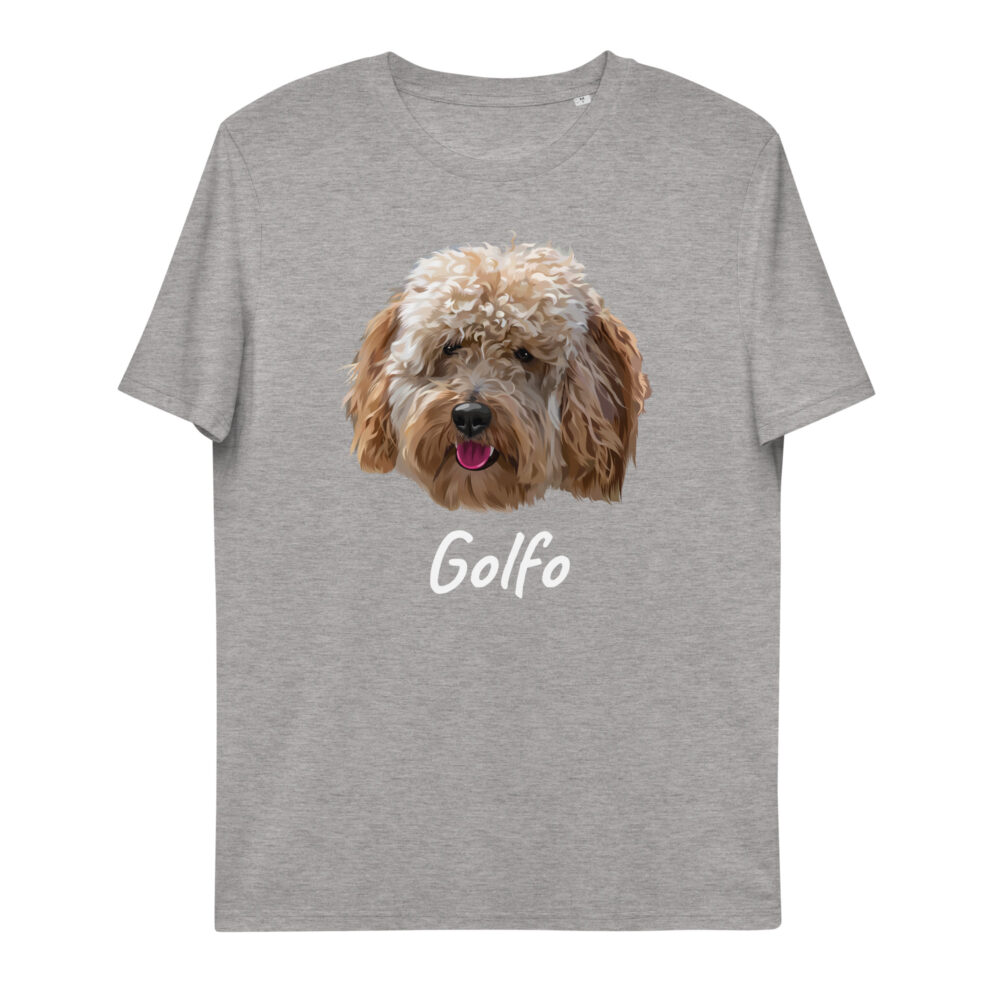 unisex-organic-cotton-t-shirt-heather-grey-front-65d7ffd52fb50.jpg