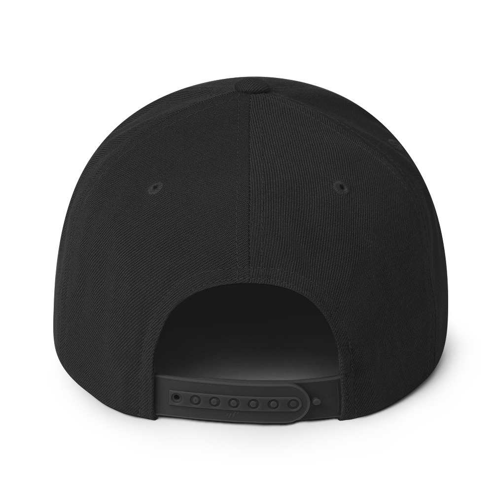 classic-snapback-black-back-65fcb5ee80ec8.jpg