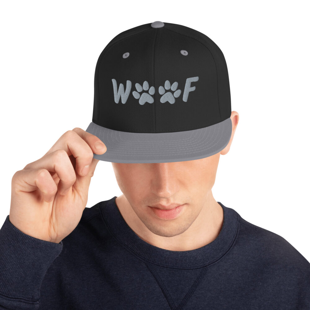 classic-snapback-black-silver-front-65fccf24c9447.jpg
