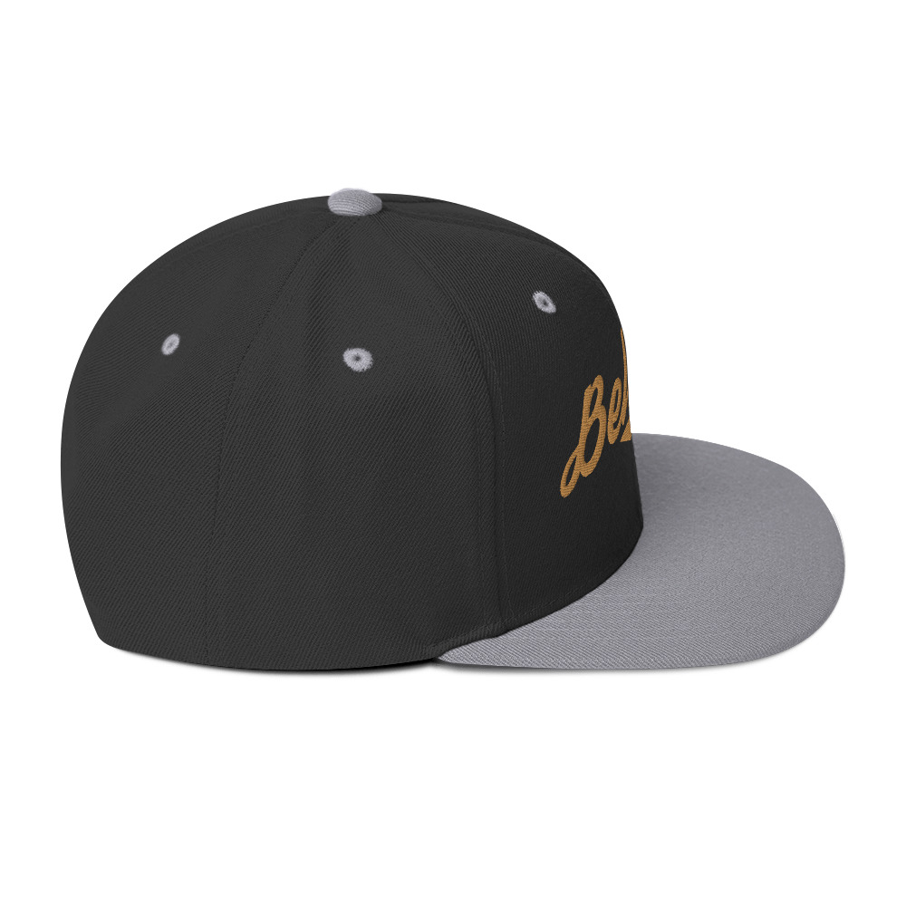 classic-snapback-black-silver-right-side-65fc5b2e412c1.jpg