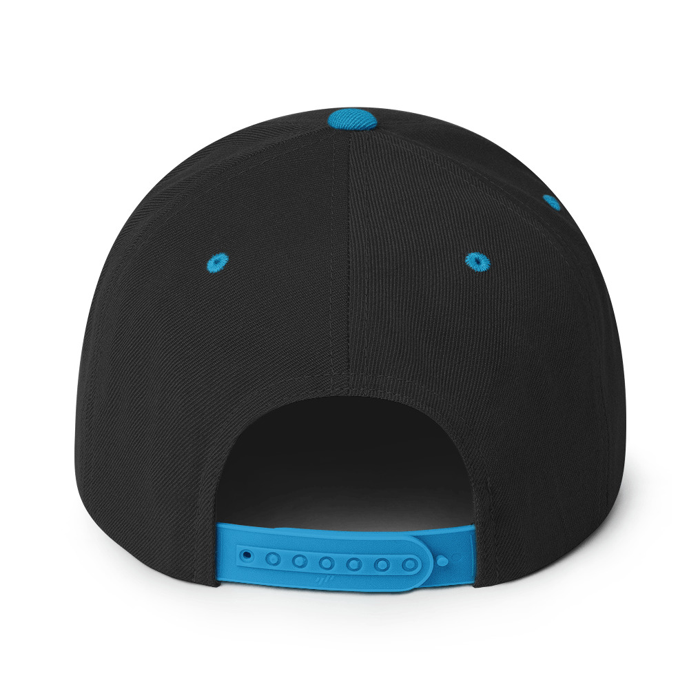 classic-snapback-black-teal-back-65fc7162abd03.jpg