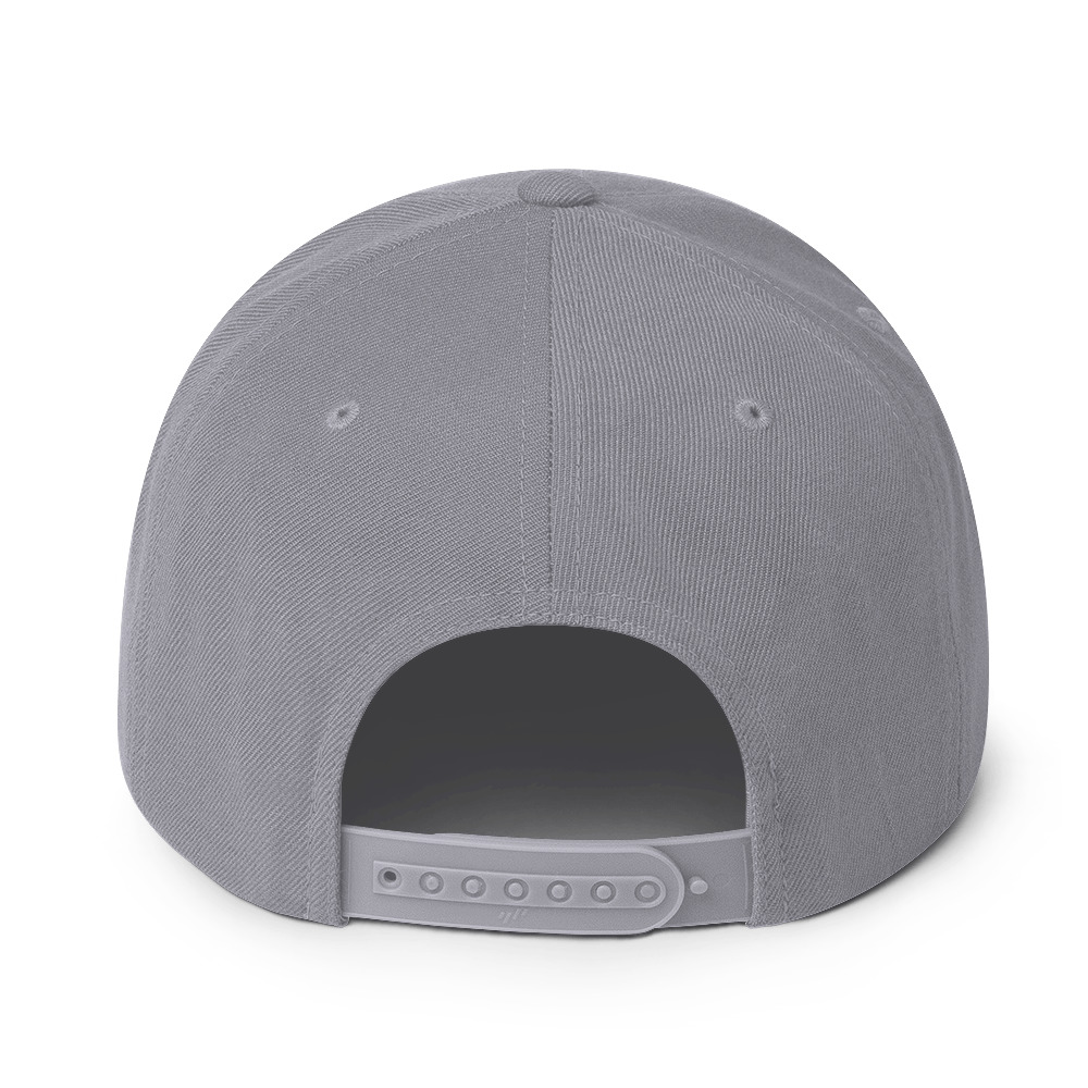 classic-snapback-silver-back-65fcb5ee85842.jpg