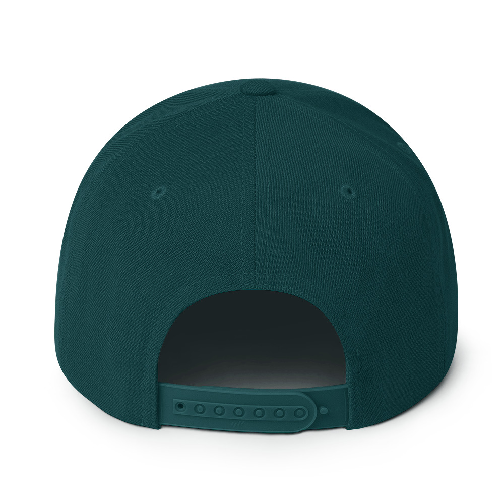 classic-snapback-spruce-back-65fc7162ae29c.jpg