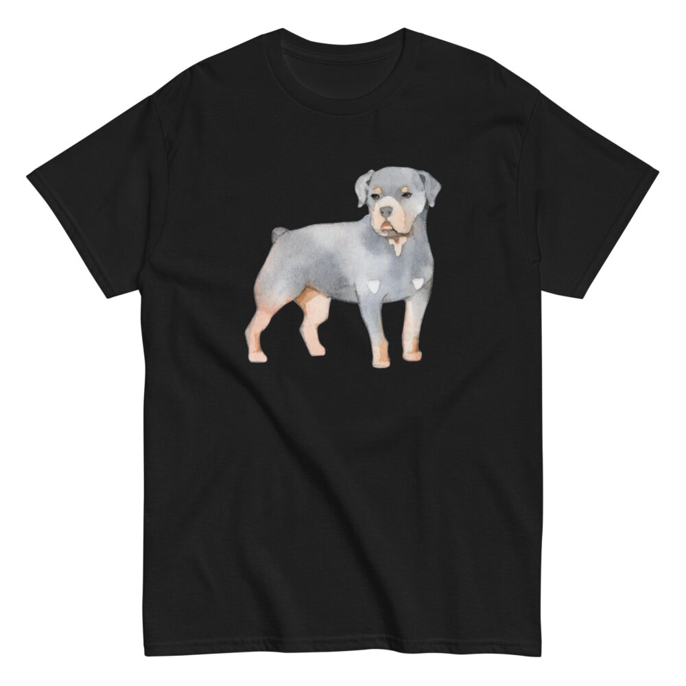 mens-classic-tee-black-front-65f25a3270b36.jpg