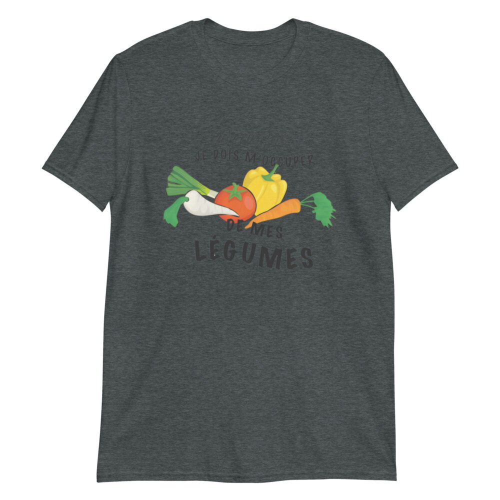 unisex-basic-softstyle-t-shirt-dark-heather-front-663fa359e1ab6.jpg