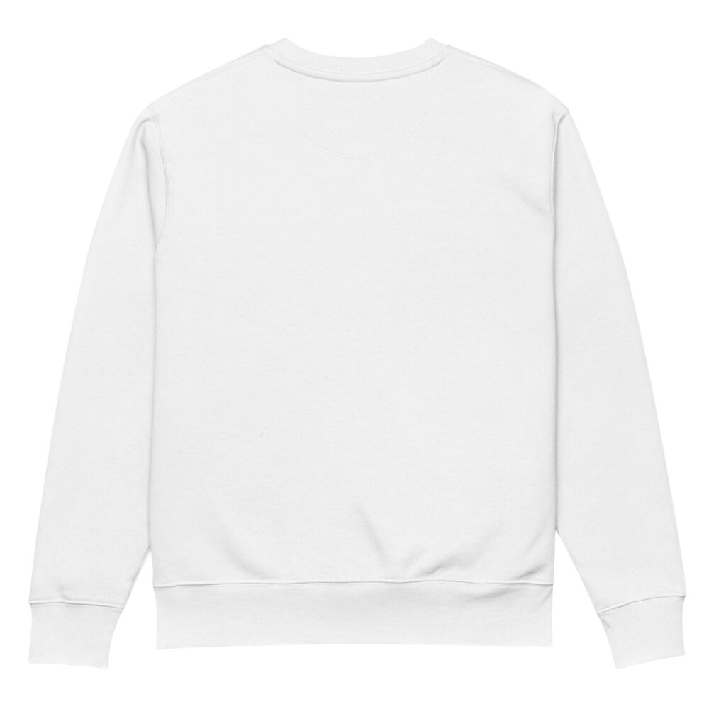 unisex-eco-sweatshirt-white-back-670549abef88b.jpg