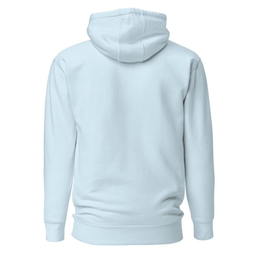 unisex-premium-hoodie-sky-blue-back-670e7c81167ed.jpg