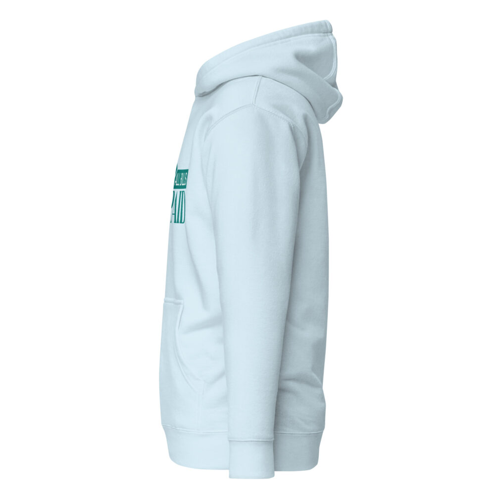 unisex-premium-hoodie-sky-blue-left-66fc586ea2b20.jpg