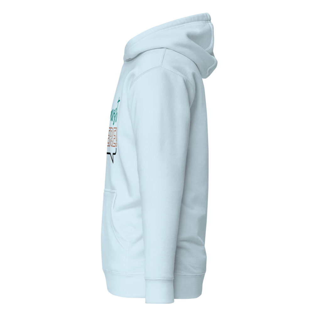 unisex-premium-hoodie-sky-blue-left-66fc5f1734ce3.jpg