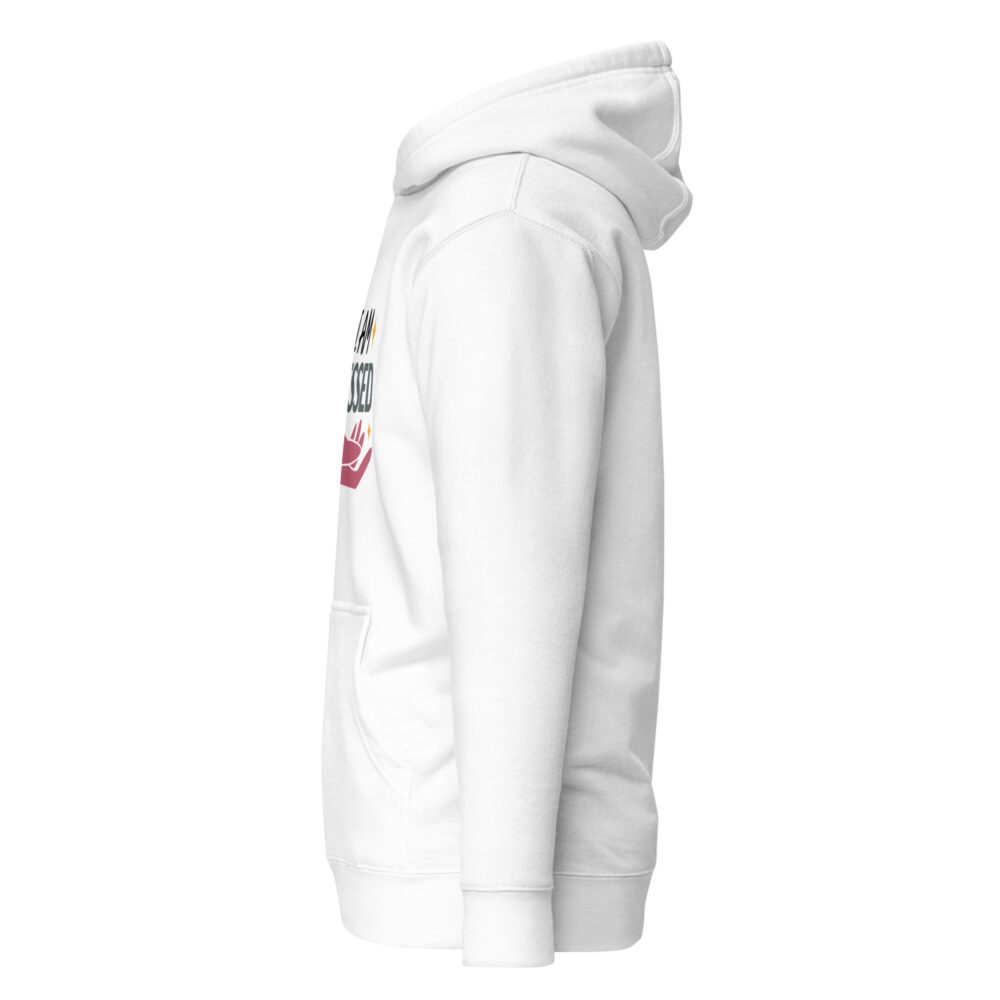 unisex-premium-hoodie-white-left-66fc77aa912bd.jpg