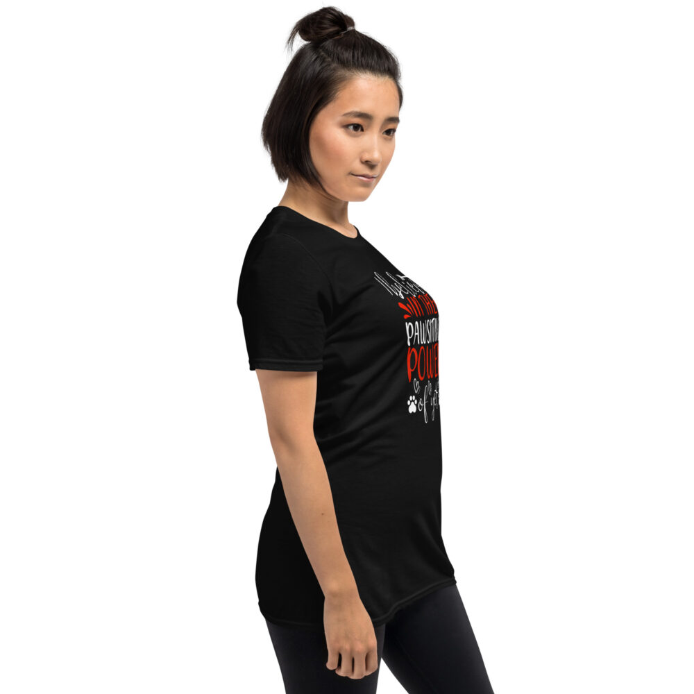 unisex-basic-softstyle-t-shirt-black-right-front-673c99072dead.jpg