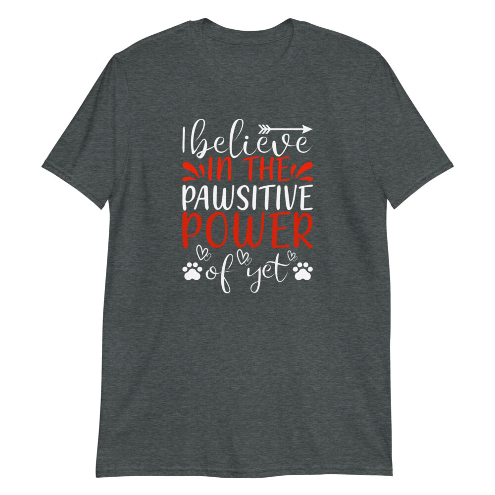 unisex-basic-softstyle-t-shirt-dark-heather-front-673c9907339c1.jpg