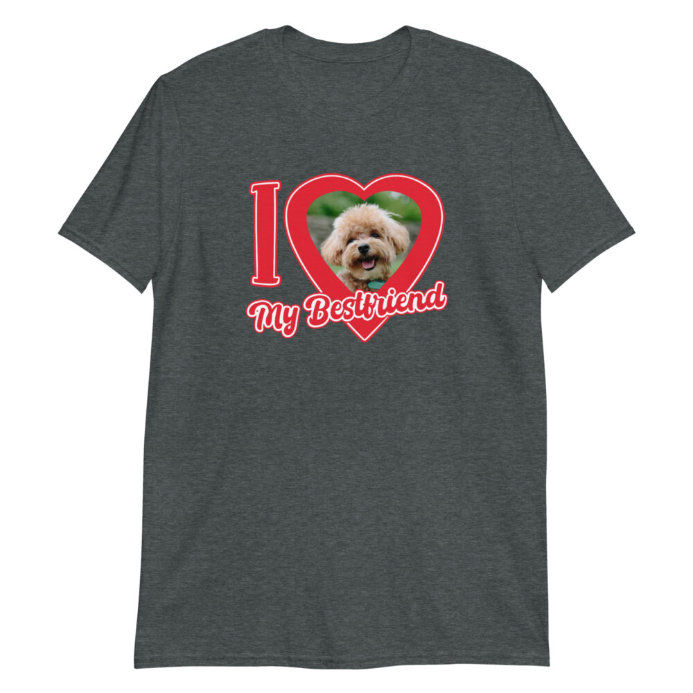 unisex-basic-softstyle-t-shirt-dark-heather-front-678dd7ca73730.jpg