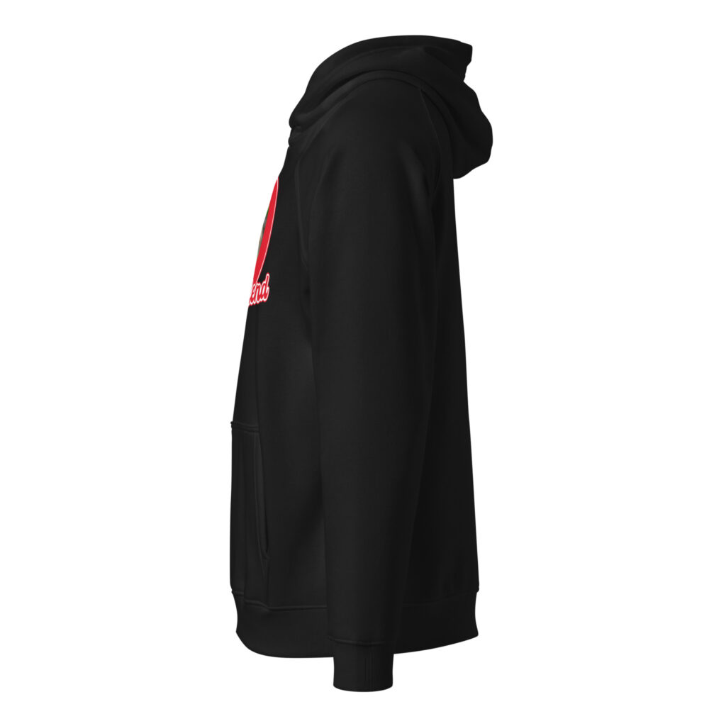 unisex-eco-raglan-hoodie-black-left-67882fd98f233.jpg