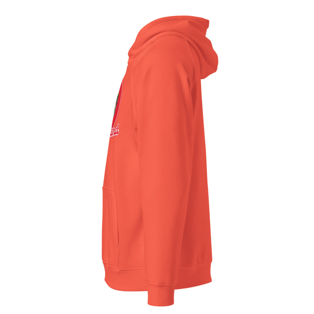unisex-eco-raglan-hoodie-burnt-orange-left-67882f2ec382c.jpg