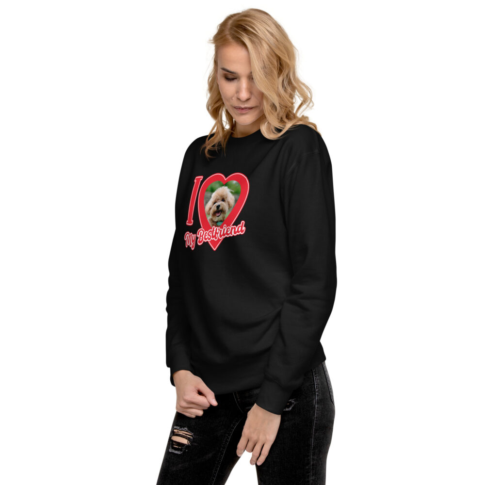 unisex-premium-sweatshirt-black-left-front-6787ea09511cb.jpg