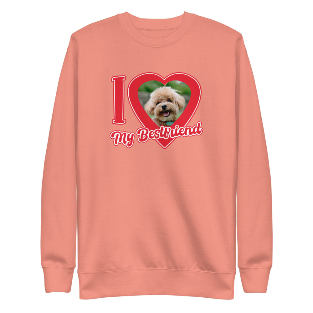 unisex-premium-sweatshirt-dusty-rose-front-6787ea096626a.jpg