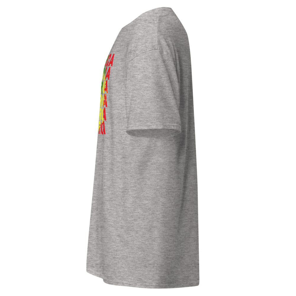 unisex-classic-tee-sport-grey-left-67ce2db0520a8.jpg