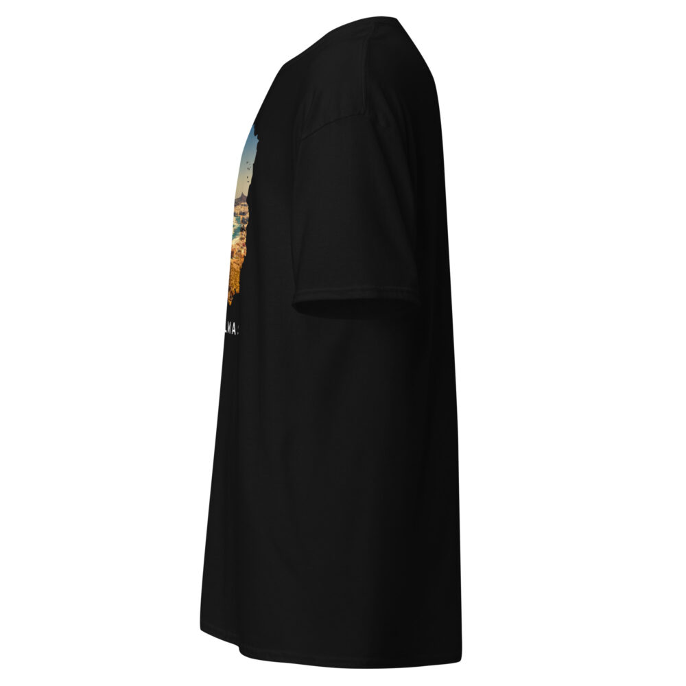 unisex-classic-tee-black-left-67f7e54b894d2.jpg