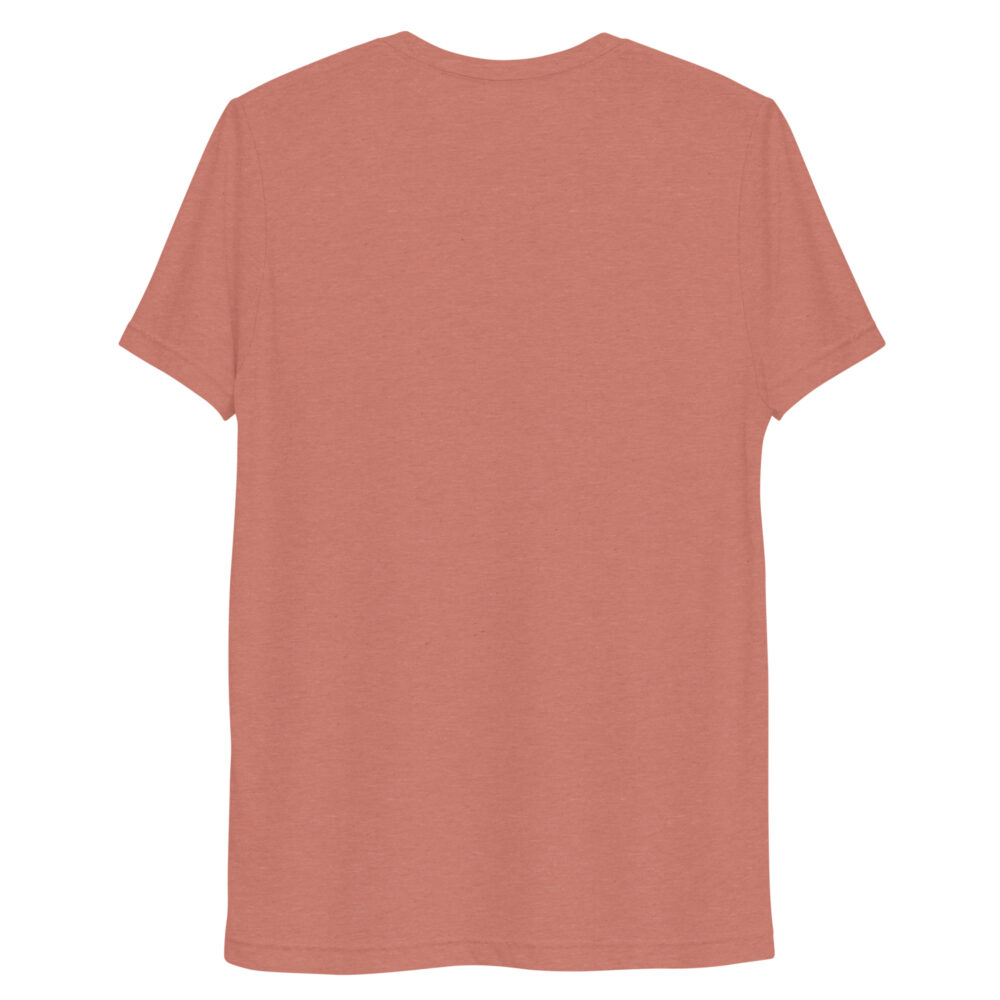 unisex-tri-blend-t-shirt-mauve-triblend-back-681154435457b.jpg