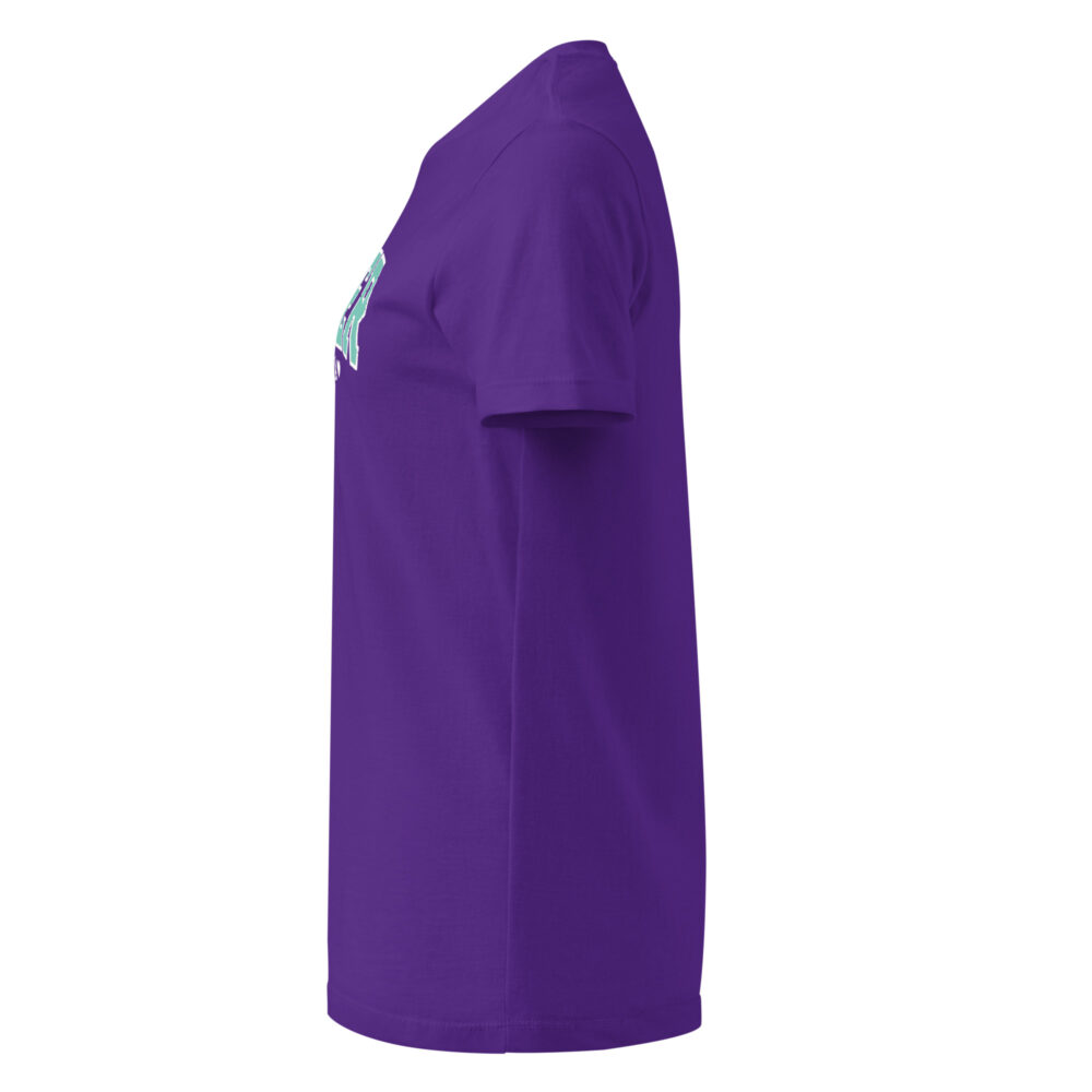 womens-basic-softstyle-t-shirt-purple-left-67fd90d2aae85.jpg